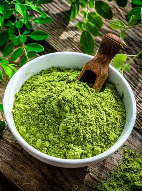 Premium Indian Moringa Leaves Powder – Export Quality - Image 3