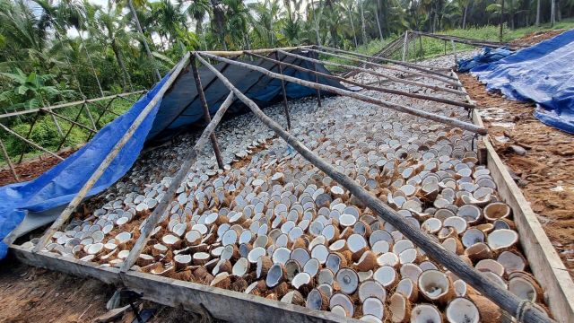 Mix-Grade Copra Grade Premium Content FAT : 60% Packaging PP bags Material Coconut Shell Weight (kg) 25 Kg / Bags Max. Moisture (%) 7% max - Image 2