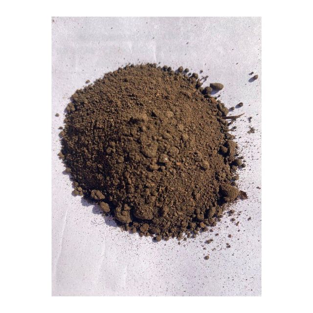 High quality manure prepared for wholesale buyers needing steady volume - Image 3
