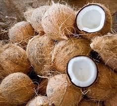 Find similar icon Cheap Price Fresh Mature Semi Husked Coconut From Thailand - Image 2