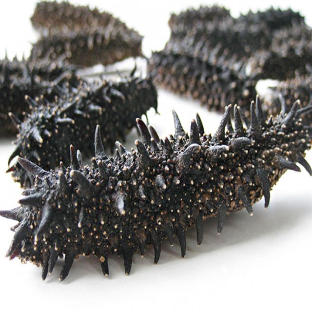 Best selling Dried Sea Cucumber for sale Sea Cucumber Dry Sea Cucumber - Image 3