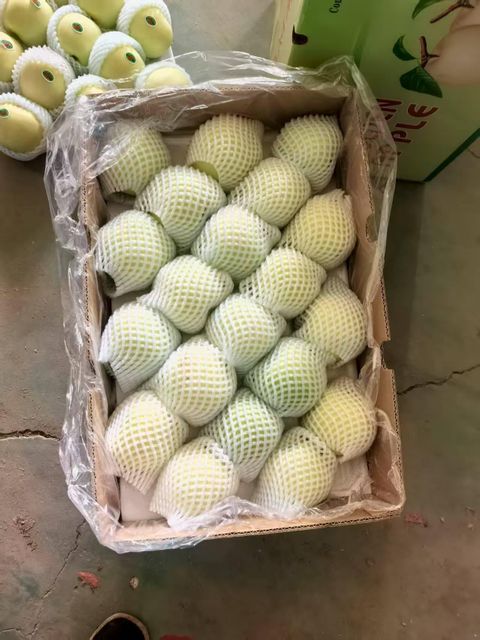 Fresh Golden Delicious Apples for Global Wholesale Markets - Image 2