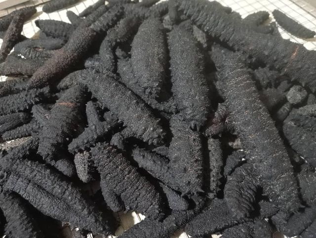 Dried Sea Cucumber  New season Form Other Organic Yes Grade Premium Color Dark Black Origin Regional, Worldwide Processing Method Sun-dried - Image 4