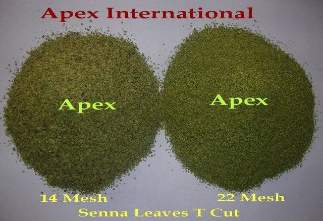 Senna Leaves T Cut,Senna Leaves Tea Cut, Dry Senna Tea Cut , Senna Leaf,Cassia Angustifolia Tea,Cassia Angustifolia, senna tea, senna leaves bulk supplier from india - Image 3