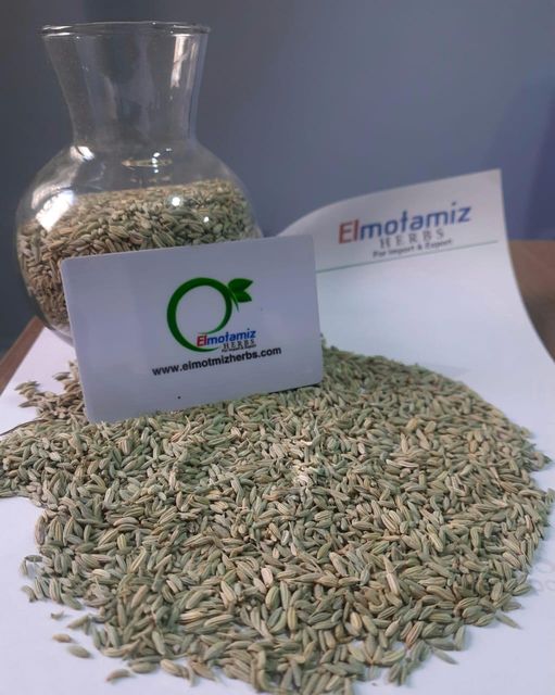 Egyptian Fennel Seeds – Premium Export Quality | Whole Cleaned Fennel Seeds Bulk Supplier - Image 5