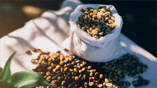 Premium Robusta Coffee Beans Strong Bold Flavor High Caffeine Fresh Roasted For Daily Brewing Buy Fast Delivery Premium Quality Wholesale Naturally Perfect For Home And Cafe Use - Image 4