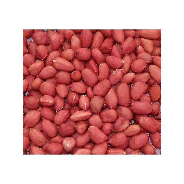 Wholesale Peanuts bulk supply cheap price fast delivery quality - Image 2