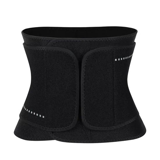 Lumbar Support with Plastic Back Support Back Support Belt - Image 4
