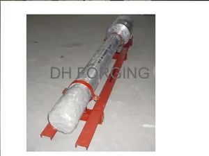 Forged Mandrel, Shaft, Axle Origin China Trademark DHDZ HS Code 73261910 Specification TUV Shaft Shape Real Axis Axis Shape Straight Shaft - Image 3