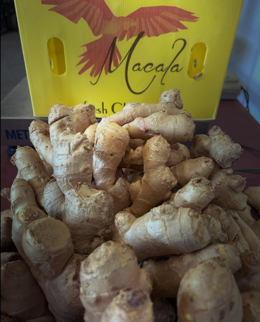 MACALA EVERYDAY GINGER PREMIUM GRADE GINGER WITH STRONG AROMA 12Kg – product photo 3, product detail gallery