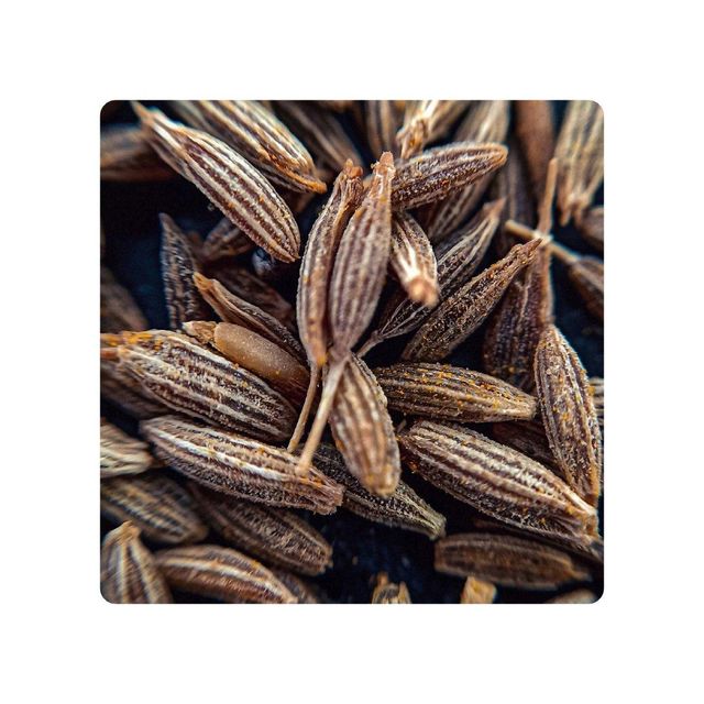 Wholesale High Quality Dried Raw Curry Cumin Seeds Dried Spices Cumin Provide Sample Cumin Seeds (Jeera) Whole 99%+ Purity Food Grade Premium Export Quality Aromatic Culinary Industrial Use West Bengal Sunari Cumin Seeds (Jeera) Whole 99%+ Purity Food Grade Premium Export Quality Aromatic Culinary Industrial Use West Bengal Sunari - Image 3