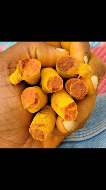 Turmeric Finger Curcumin Content 3%+ Impurity Level Max 0.5% Moisture Content Max 12% Supply Availability Year-round Packaging 25kg / 50kg Pp Bags - Image 2