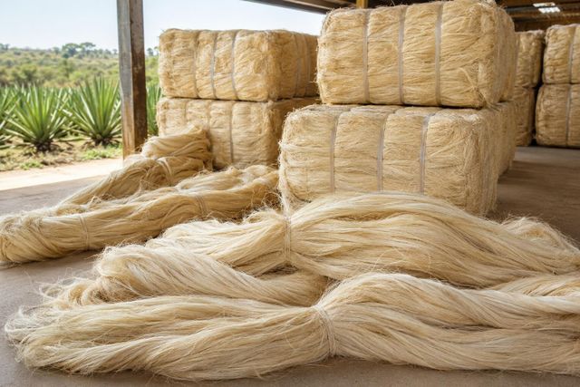 Sisal Fibre Material Suitable For Rope Production Twine Making Handicrafts Home Projects at Competitive Price - Image 4
