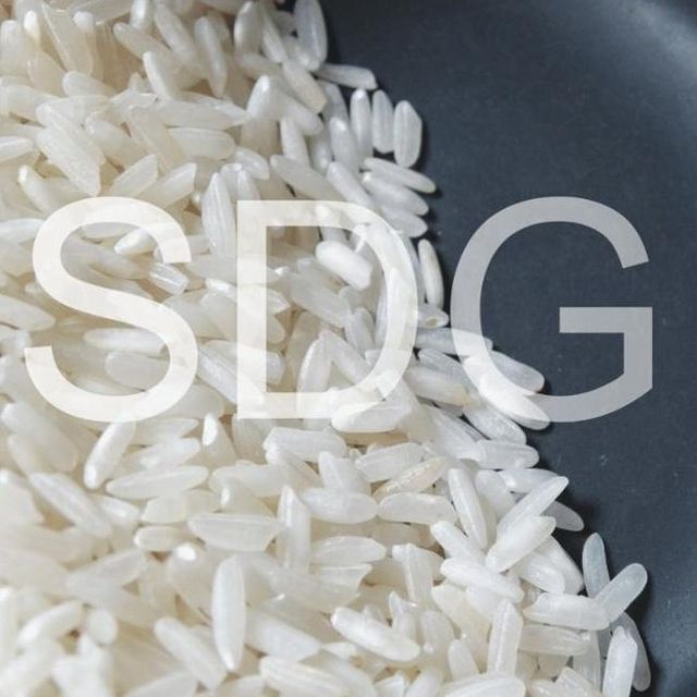 Parmal Pr-11 Sella Non-Basmati Rice Best Quality High Selling Non Basmati Rice Wholesale Offer Price - Image 4