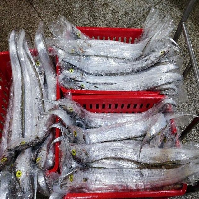 Frozen Ribbon Fish Bulk Supply Wholesale Premium Quality Seafood Top Grade Trans-Fat Free Low-Sugar - Image 5