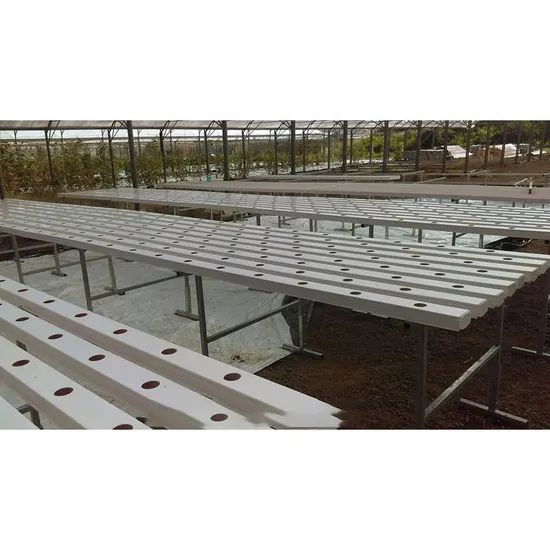 Nft Hydroponics System Designed for Fast Growing Asian Leafy Vegetable Crops - Image 1