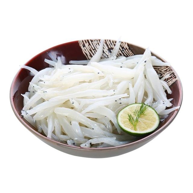 Loligo Squid - Image 2