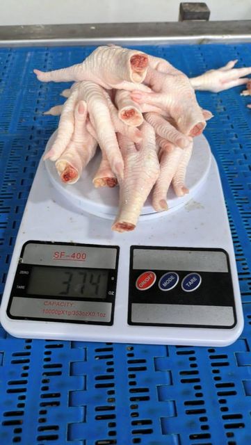 Chicken paw frozen chicken - Image 2