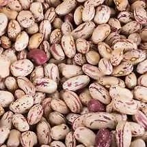Good Light Speckled Kidney BeansSpeckled kidney beans, also commonly known as red speckled or sugar beans, are versatile - Image 5