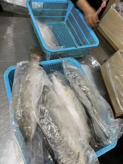 Frozen Sea Bass Fish Restaurant Choice Fillet Rich In Natural Protein Smooth Texture And Clean White Meat - Image 2
