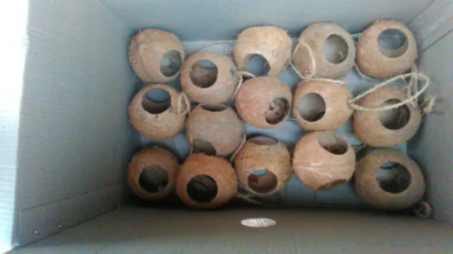 coconut shell oval bird feeder – product photo 2, product detail gallery