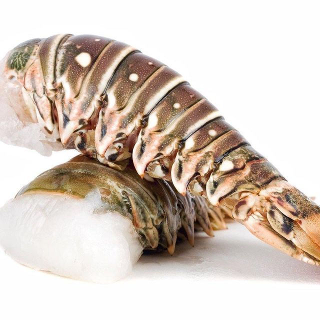 Frozen Fresh Lobsters Professionally Packed For International Distribution Featuring Strong Texture And Premium Quality - Image 2