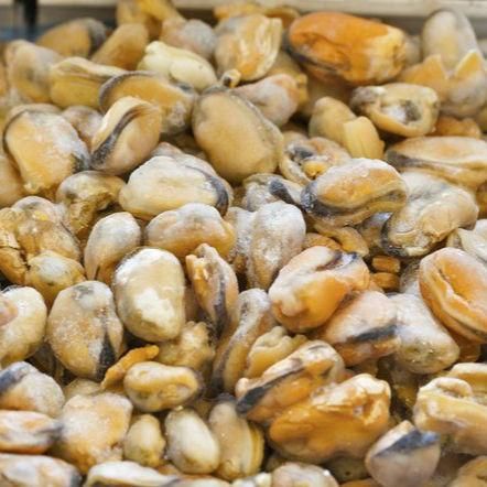 Frozen Mussel Meat Frozen Seafood Ingredient For Import Distribution Offering Naturally Tender Texture And Fresh Taste - Image 3