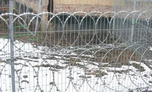 Top Quality Low Price Concertina Razor Barbed Wire - Image 5