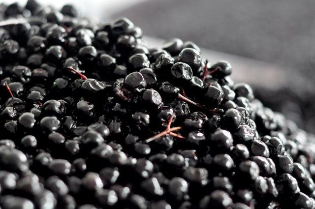Dried Aronia Berries 100g Type Dried Taste Snack Shape WHOLE Style Dried Weight (kg) 0.1 Specification COA Brand Name - Image 2