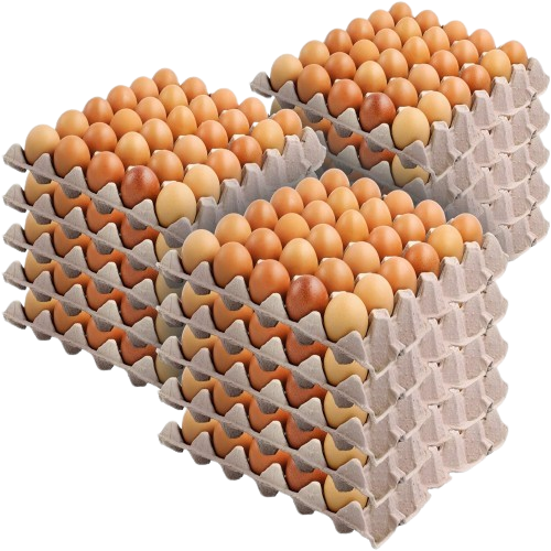 Farm Fresh Chicken Table Eggs Brown und White Shell - Image 4