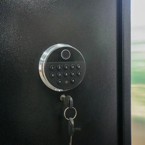 Fireproof Gun Safe Cabinet Electronic Gun Safe Locks MOQ One Set Origin China Condition New HS Code 940310 Wood Style - Image 5