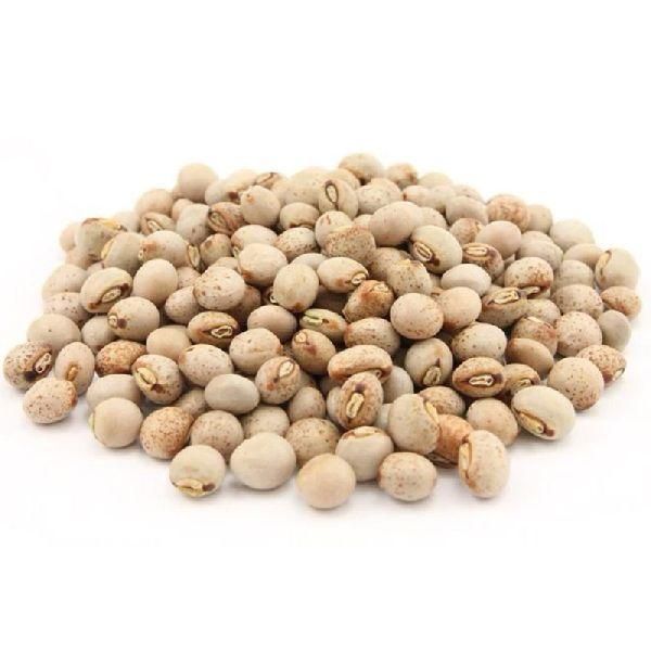 PIGEON PEAS Grade AA Type SEEDS Filth 0.1% Humidity 14% Odor No Odor Defect Rate 4-5% Packaging 50KG BAGS Moisture Content 14% - Image 3