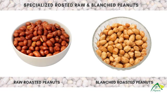 Blanched Roasted Peanut 3842, Blanched Roasted Peanut 38 42,Peanut, Peanuts, Arachis hypogaea, Blanched Roasted Peanut 38/42, Blanched Roasted Peanut, Blanched Roasted Peanut Kernels, Blanched Peanut, Indian Blanched Roasted Peanut, Indian Blanched Peanut, Peanuts Roasted Kernels, Peanuts Kernels, Peanut With Shell, Peanuts, Indian Peanut, Blanched Roasted Peanuts,Blanched Roasted Peanut Supplier From India. - Image 2
