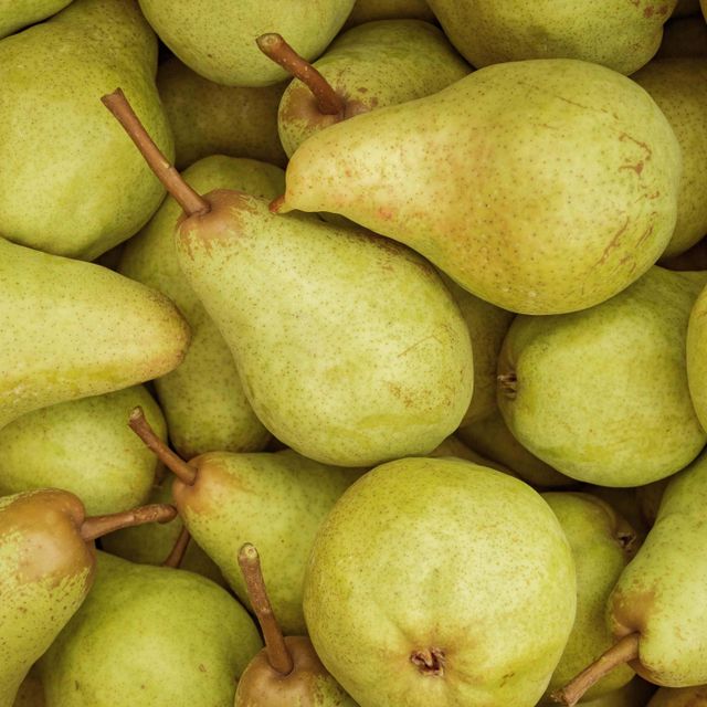 Fresh Pear Premium Quality Harvest With 97% Natural Maturity Excellent Texture And Strong Market Demand - Image 3