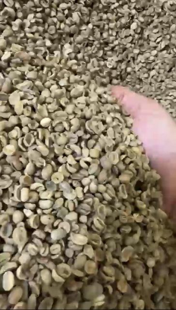 Roasted Coffee Whole Bean/Ground & Arabica Green Coffee Beans - Image 3