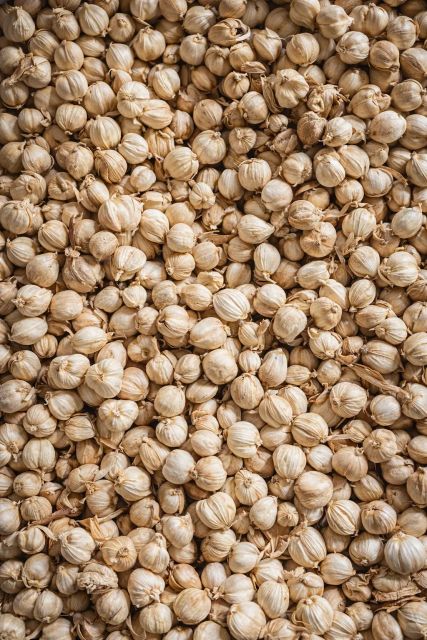 Premium Indonesian White Cardamom - Image 3