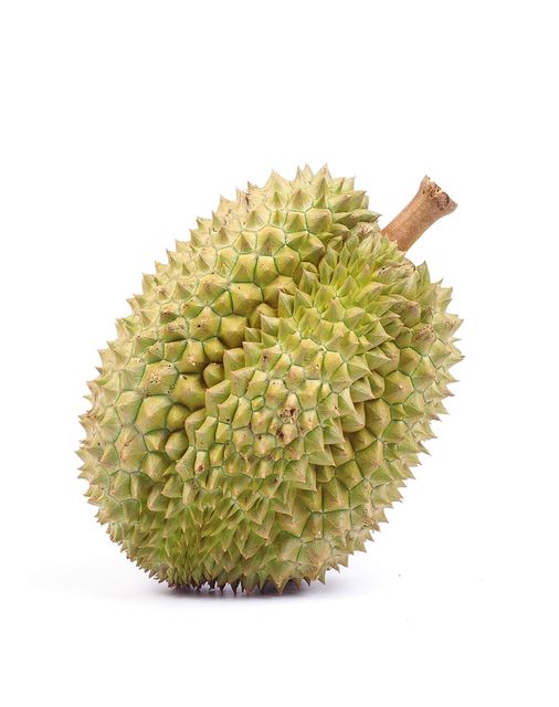 Wholesales High Quality Export Grade Delicious Sweet Fresh Fruits Best Seller New Crops Thai Fruit Thai Durian Monthong - Image 5