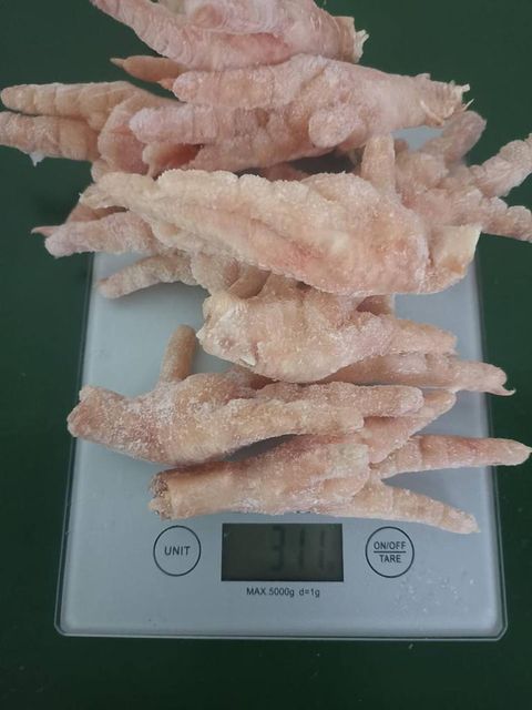 ROZPED GLOBAL Sp. z o.o. - Frozen chicken paws , GACC approved - Image 3