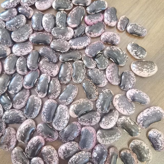 Black Beans China Giant Black Speckled Kidney Beans Dried Black Pinto Beans - Image 3