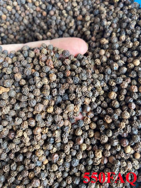 Black Pepper 550GL FAQ Grade FAQ Form Whole Origin Vietnam Delivery Form 25kg bag, 25kg/50kg per Bag, 50kg bag, Requirement - Image 1