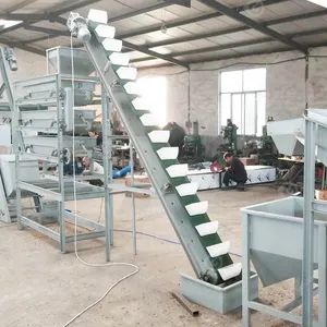 Automatic Processing Line Peanut Kernel Nut Size Grader Hazelnut Cracking Shell Almond Grading Machine in Low Price - Image 2