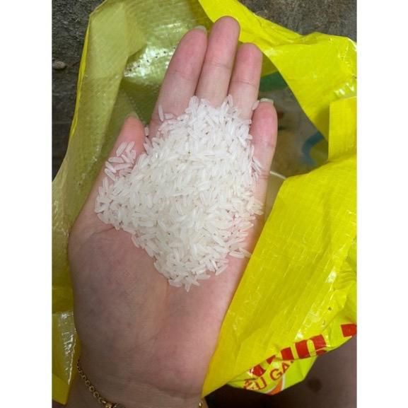 Vietnamese Jasmine Rice Fragrant and Soft Quality Export Product – product photo 3, product detail gallery