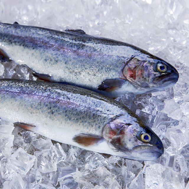Premium Fresh Atlantic Trout Best Quality Farm Raised Fish for Wholesale Bulk Supply and Business Buyers - Image 3
