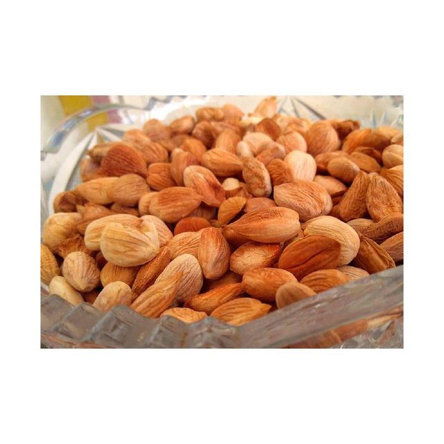 Apricot kernels available for sale in bulk at competitive wholesale price - Image 3
