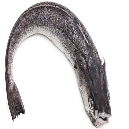 Fresh Hake Skinless Fillets Crafted For Fine Dining Menus With Uniform Cuts And Appealing White Flesh Quality - Image 3