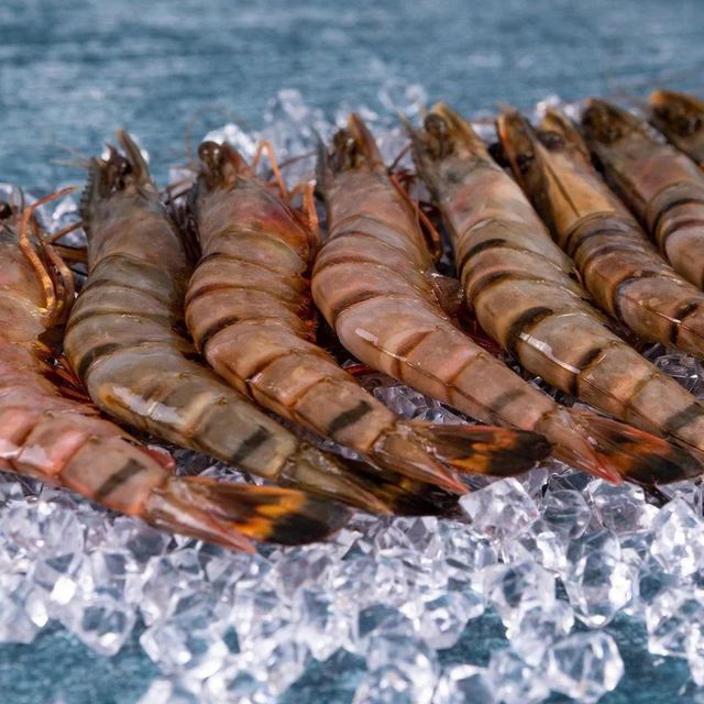 Frozen Fresh Shrimps High Purity Seafood Selection Delivering Fresh Flavor And Superior Product Integrity - Image 2