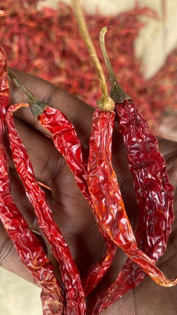 dry chilly papper Texture Dried Aroma Vibrant Purity 100% Natural Flavor Hot And Flavorful Processing Method Sun-dried Active Compounds Capsaicin And - Image 2