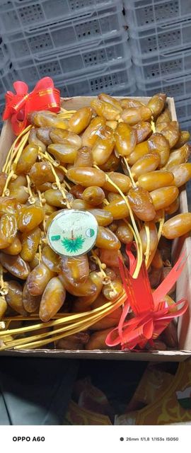 Premium Algerian Dates Deglet Nour 2026, DRIED DATES Grade A, Packaging 5KG Brand Name AGROBDT Technical Specification According to CODEX STAN 143-1985 & ISO 16649-2 - Image 1