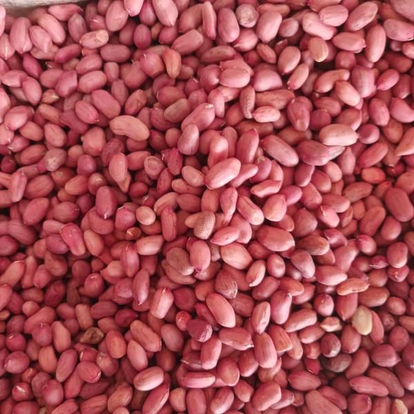 peanuts Origin Uzbekistan Color Red, Yellow, Black Application Cooking, Baking, Direct Consumption Texture Frozen, Dried, Freeze Dried, Raw, - Image 2