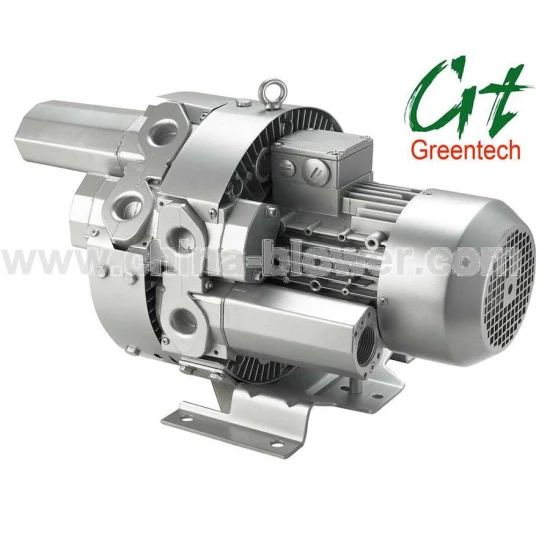 Ring Blower (4RB620) / Side Channel Blower Drive Motor Origin China HS Code 8414 Color Silver Speed 2980rpm Model NO. - Image 6